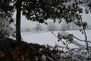Soumagne sous la neige